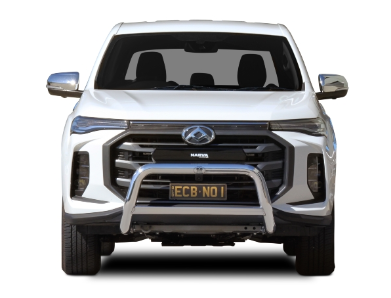 ECB LDV T60 Max Nudge Bar (09/21 to) Silver Hammertone